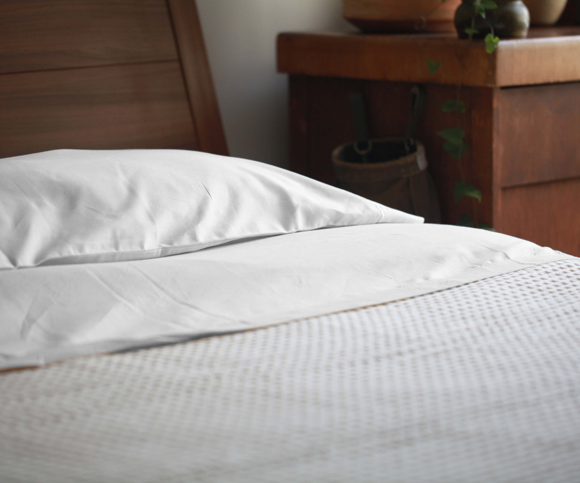 Sustainable Fibers for a Healthier Home and Planet Sustainable Fibers for a Healthier Home and Planet