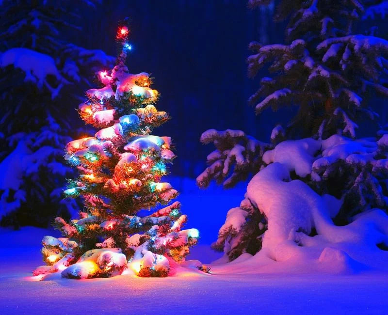 How to Put Lights on a Christmas Tree How to Put Lights on a Christmas Tree