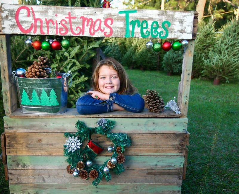 What Type of Tree is a Christmas Tree? Where to Get Them What Type of Tree is a Christmas Tree? Where to Get Them
