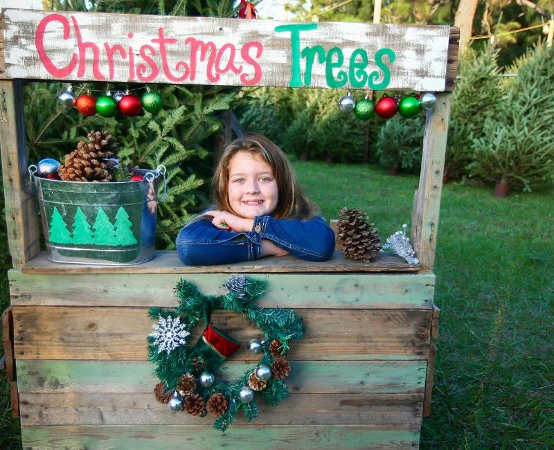 What Type of Tree is a Christmas Tree? Where to Get Them What Type of Tree is a Christmas Tree? Where to Get Them