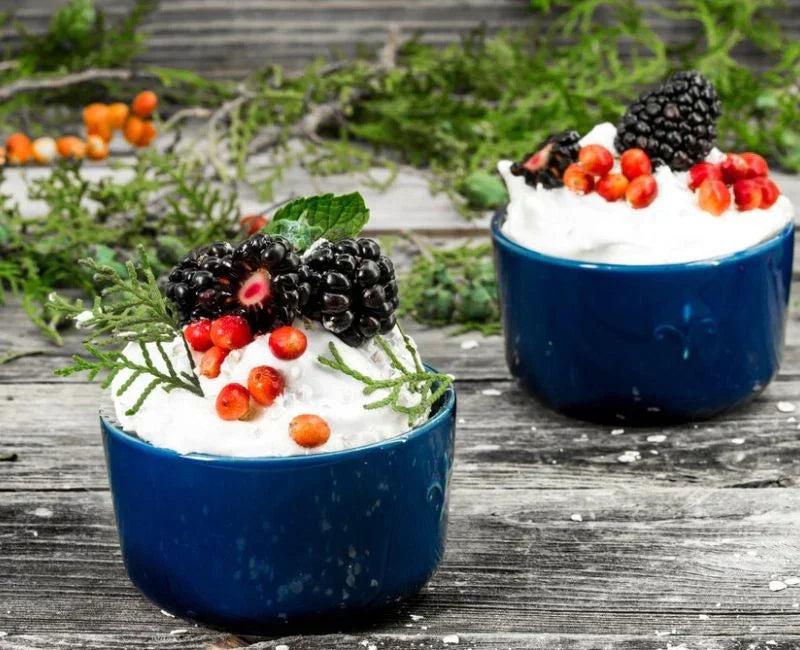 old-fashioned-snow-cream-recipe old-fashioned-snow-cream-recipe