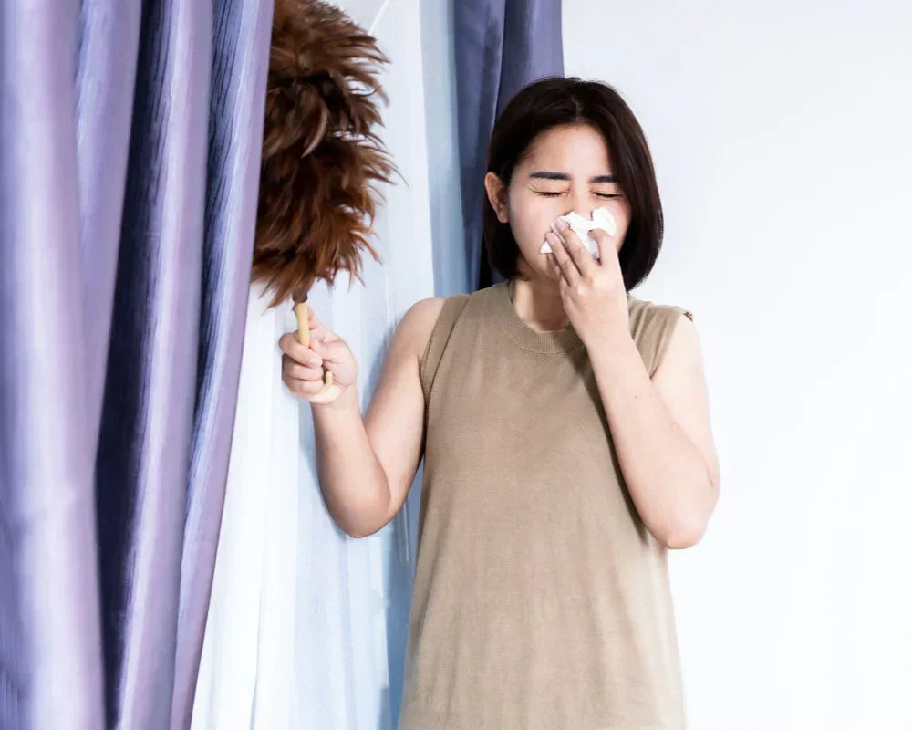 how-to-keep-blackout-curtains-dust-free how-to-keep-blackout-curtains-dust-free