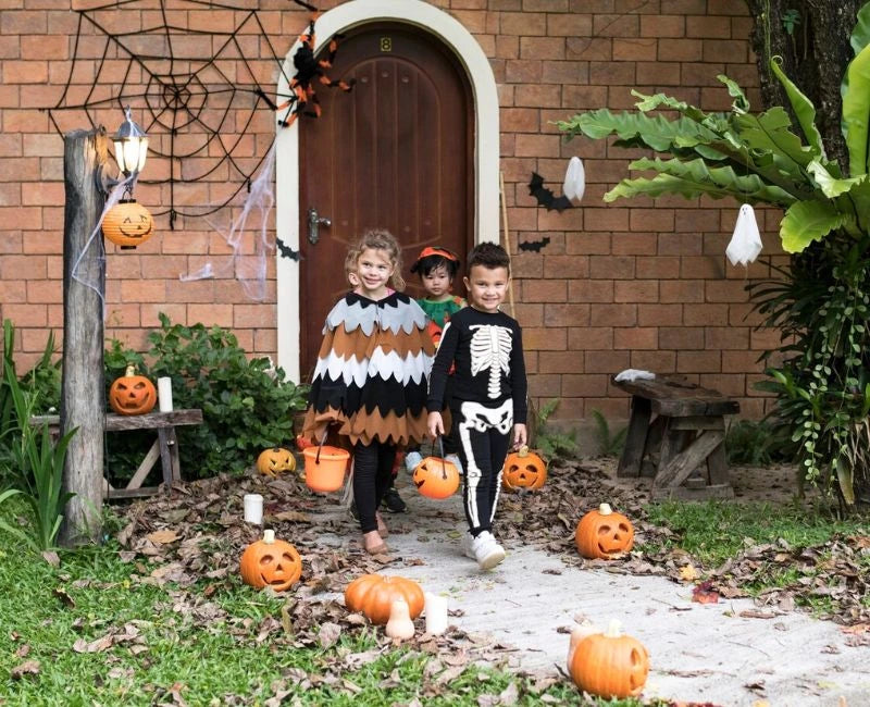 Decorate Your Garden for Halloween Decorate Your Garden for Halloween