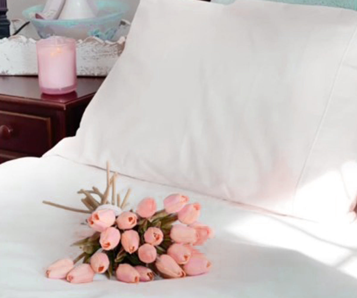 Spring Cleaning Guide for Homeowners Spring Cleaning Guide for Homeowners