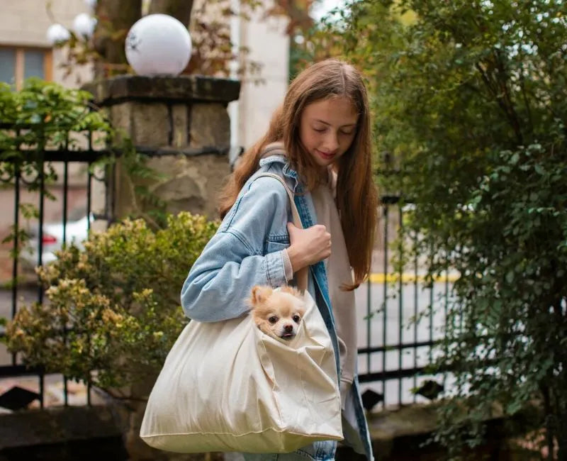 Fashionable bags Fashionable bags