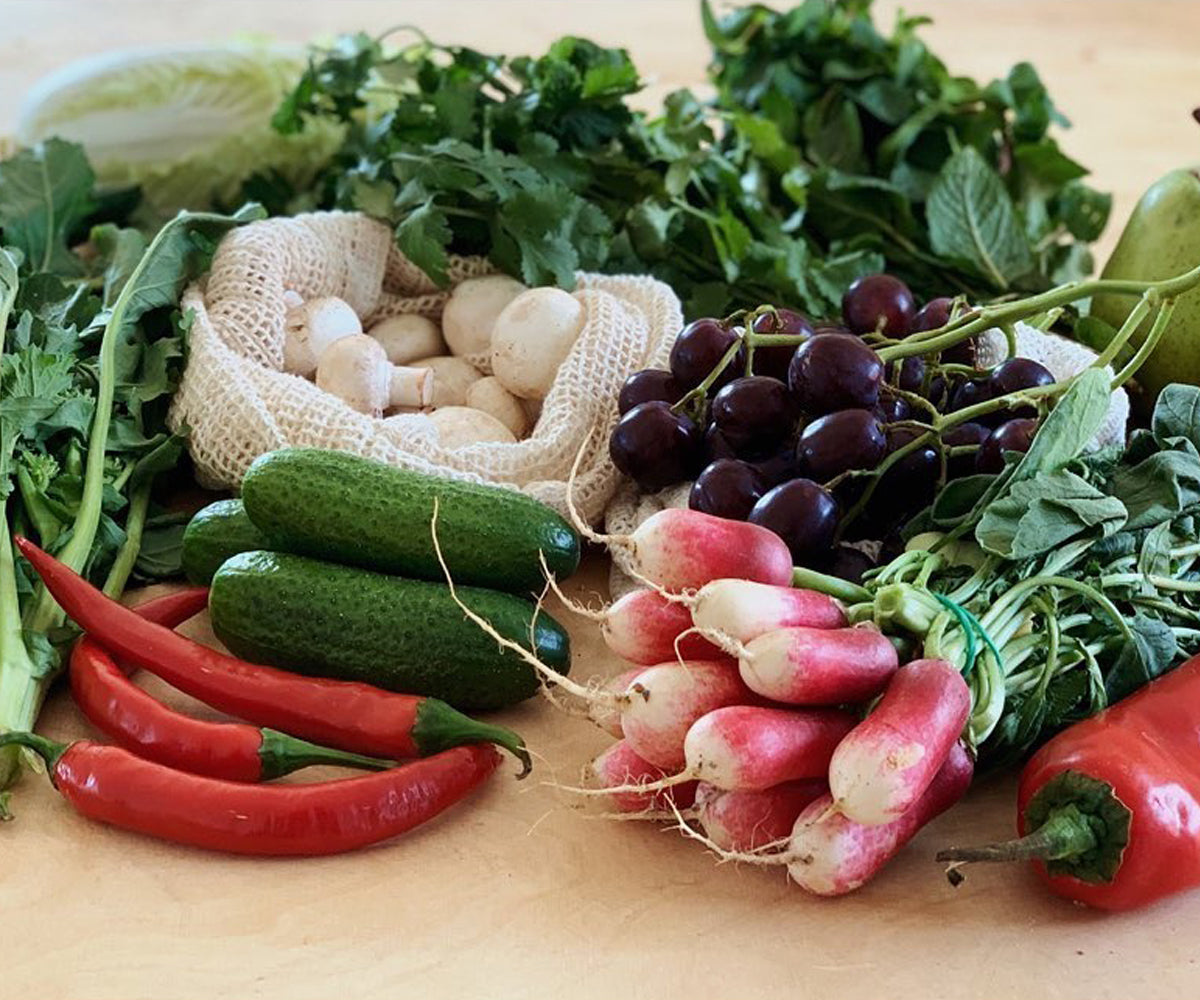 The Best Way to Store Fresh Herbs: Sustainable Ways