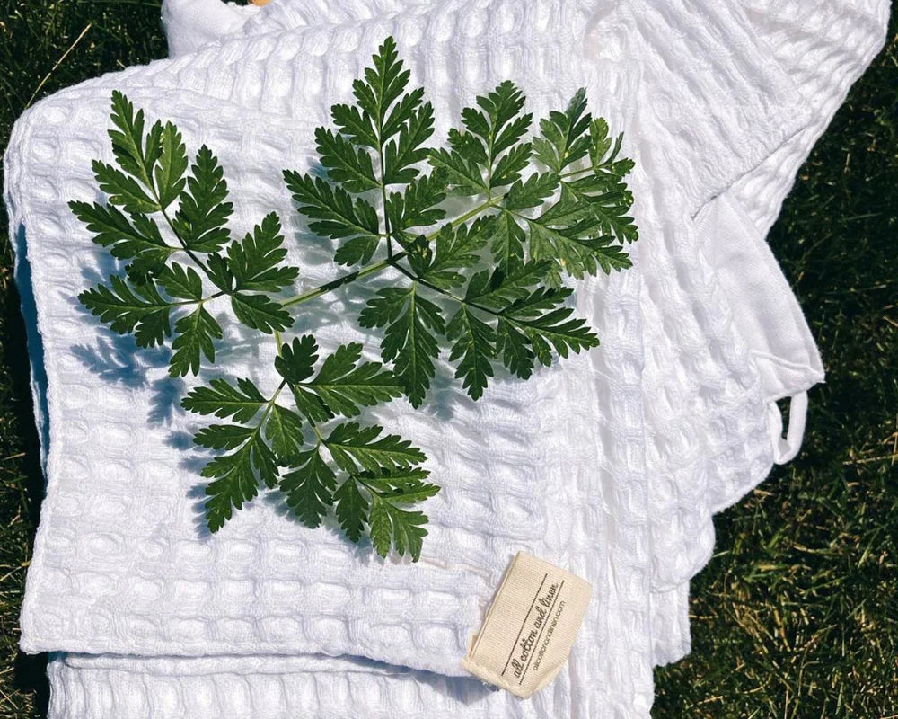 How to Keep Bath Towels Fresh, Fluffy, and Odor-Free for Longer