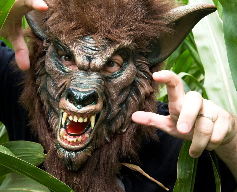 How to Make a Werewolf Costume