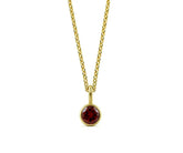 February Birthstone Necklace in 14K Yellow Gold Plating