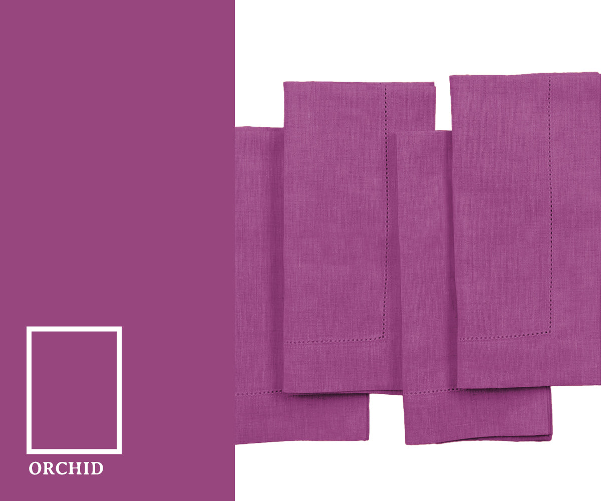 Beautiful orchid in vibrant color tones highlighting natural elegance.