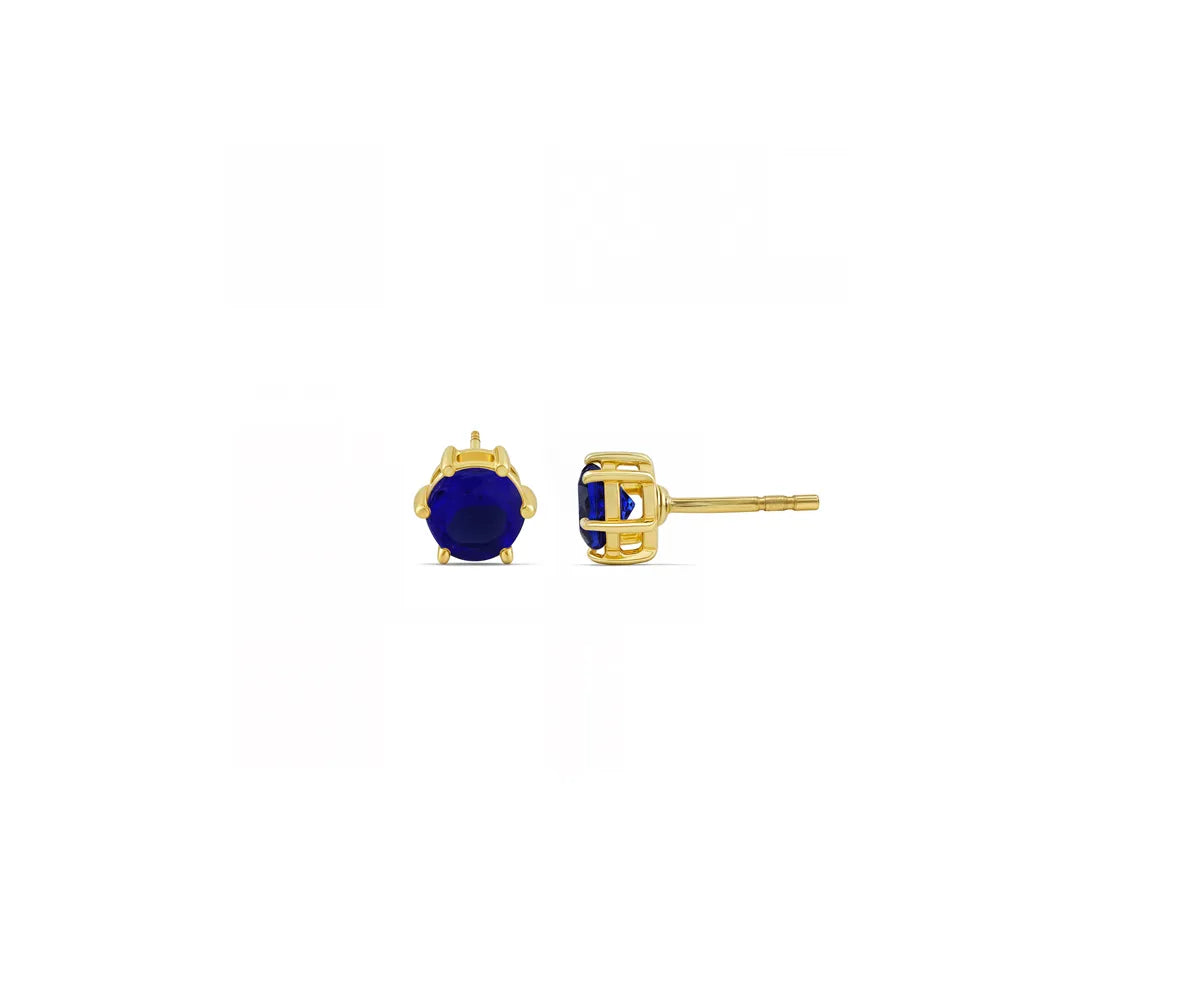 Blue Circle Earrings