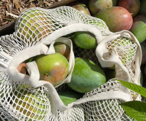 Green mangoes neatly packed in a breathable cotton mesh bag