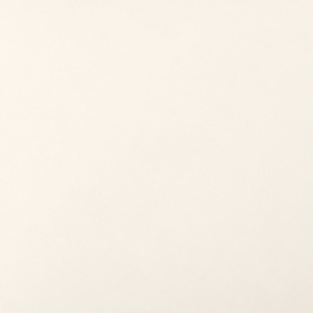 A solid, warm off-white color swatch with a subtle matte texture.