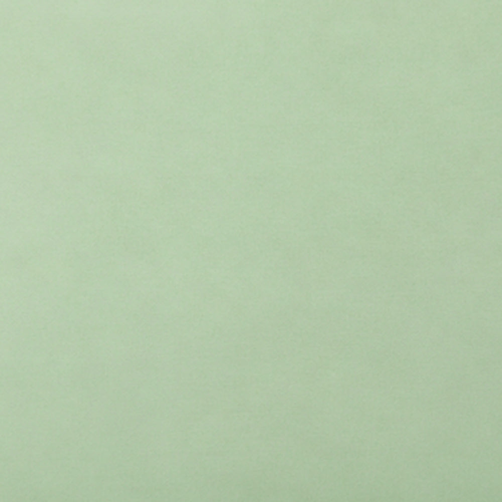 A solid pale sage green color swatch with a subtle matte texture.