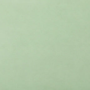 A solid pale sage green color swatch with a subtle matte texture.