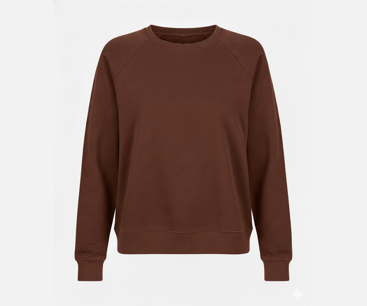 Women’s sweatshirt in soft cotton fabric Casual women’s sweatshirt front view Comfortable women’s sweatshirt.