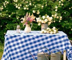 A checkered tablecloth, often red and white or other colors, adds a charming and rustic touch to a table, reminiscent of classic picnics.