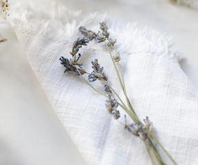 White cloth napkins