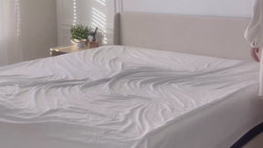 100% Organic Cotton Sheet Set