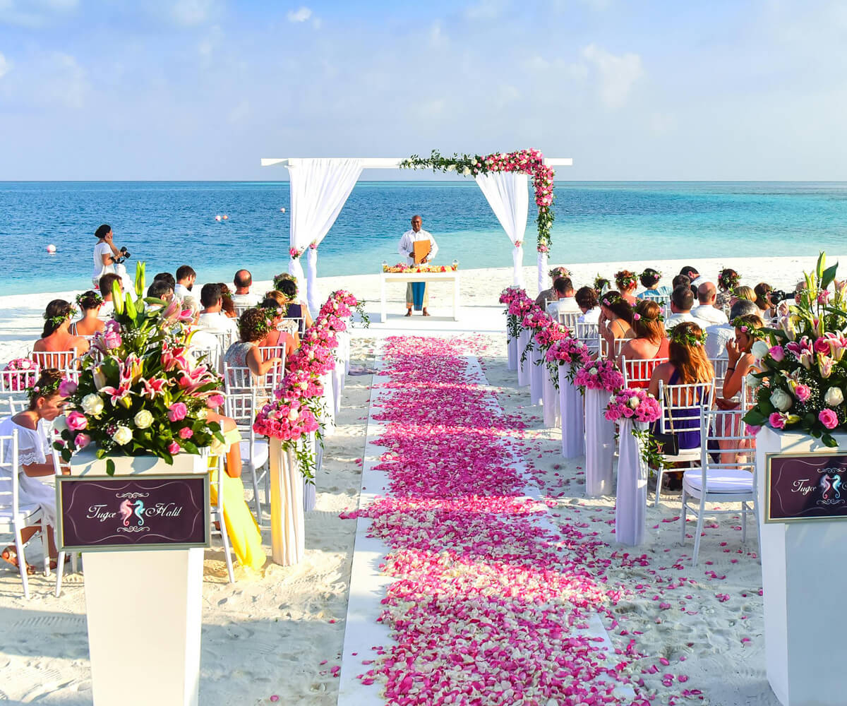 Wedding reception under a canopy of string lights in a lush outdoor setting.