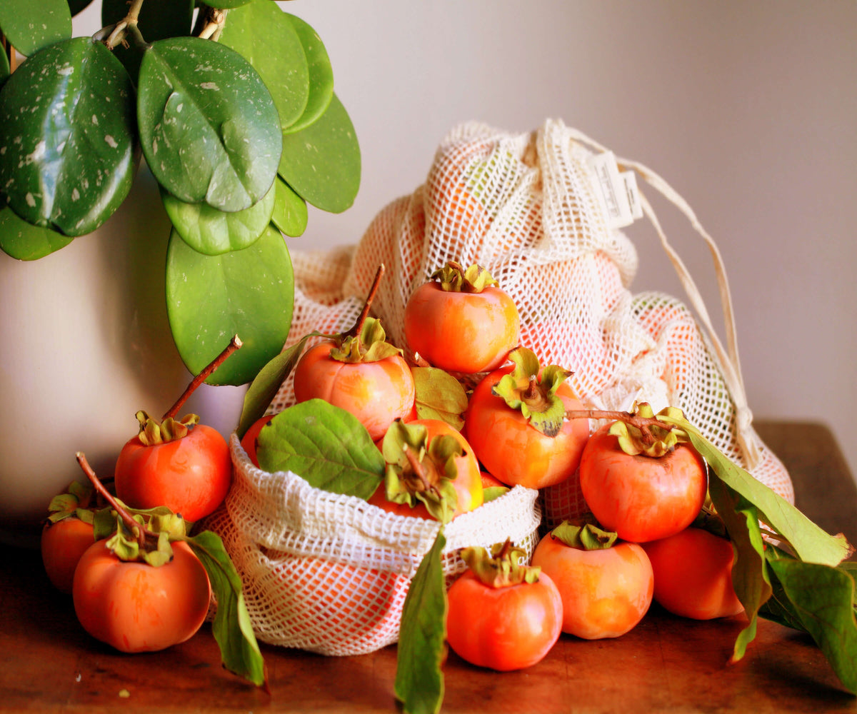 Reusable mesh produce bag brimming with a colorful selection of fruit