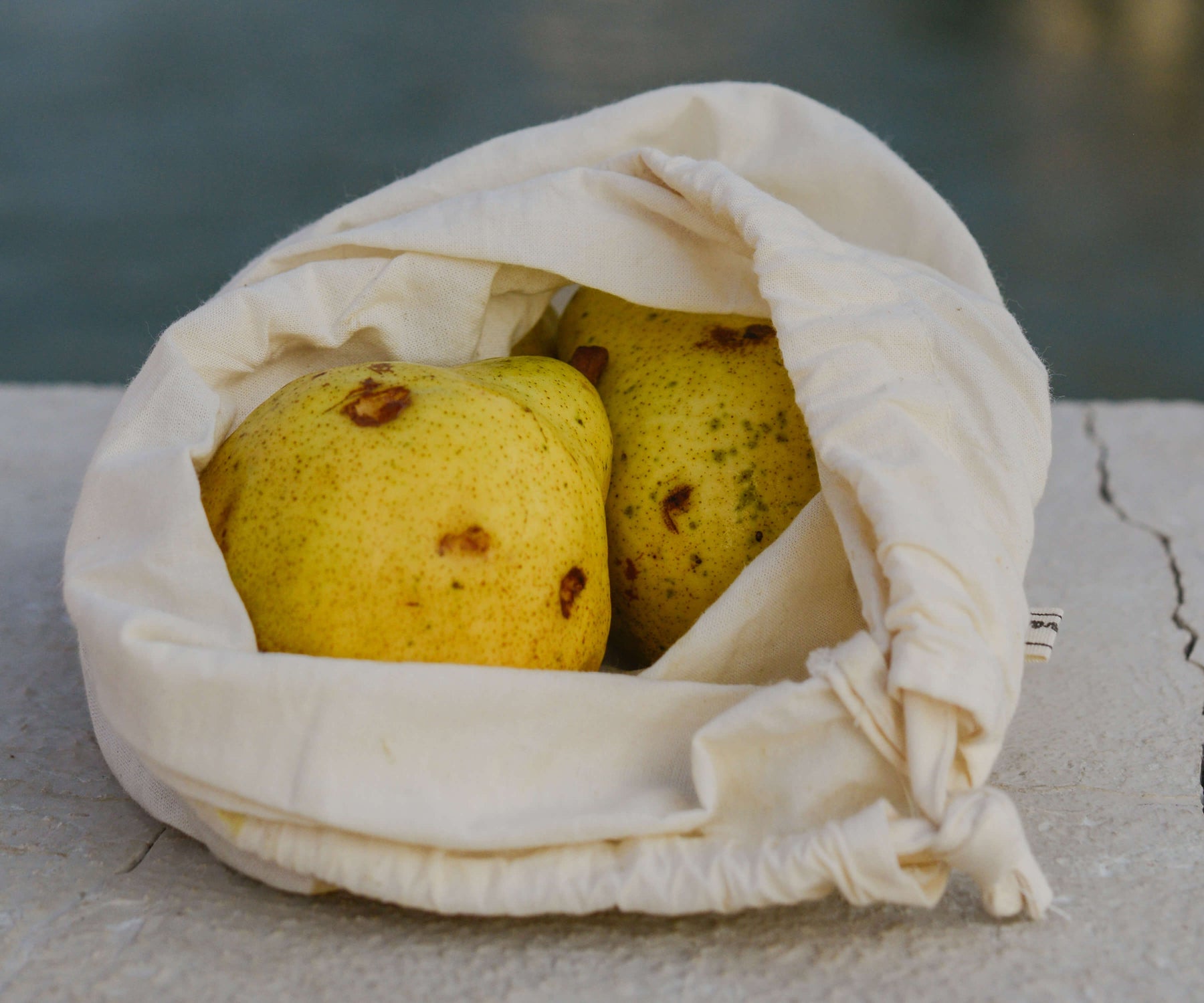 Embrace sustainability with muslin bags, bulk muslin bags, cloth produce bags, wholesale muslin bags, and organic cotton tote bags, ensuring eco-friendly packaging choices that align with responsible practices.